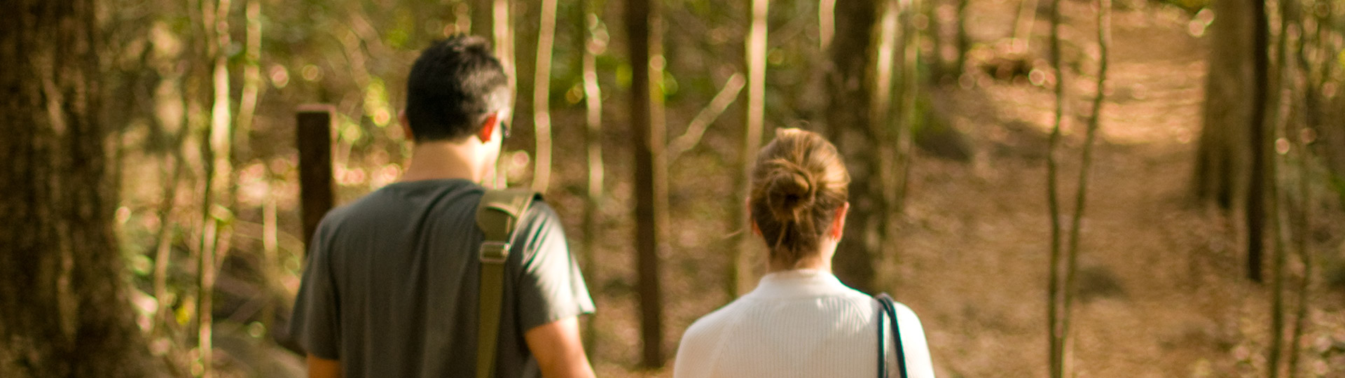 banner-caminata banner-caminata