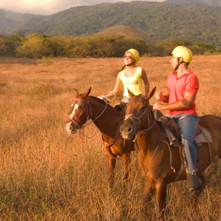 Cowboy for a Day tour