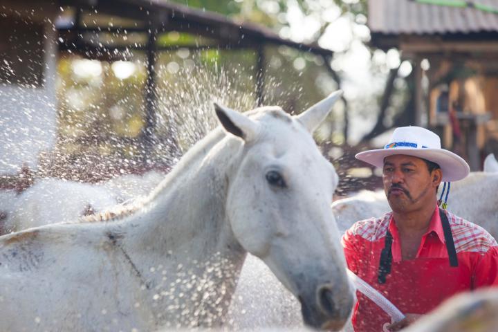 Cowboy for a Day tour