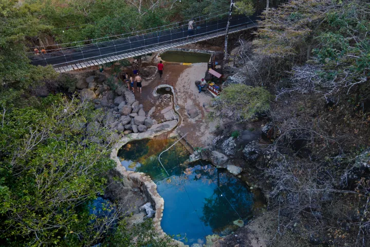 a train traveling down train tracks near a forest
