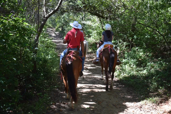 Horseback Riding to Las Chorreras Waterfall