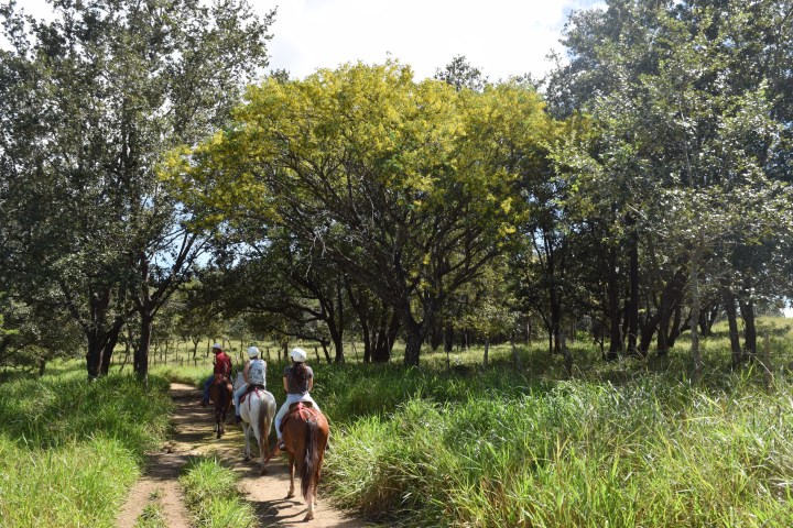 Horseback Riding to Las Chorreras Waterfall