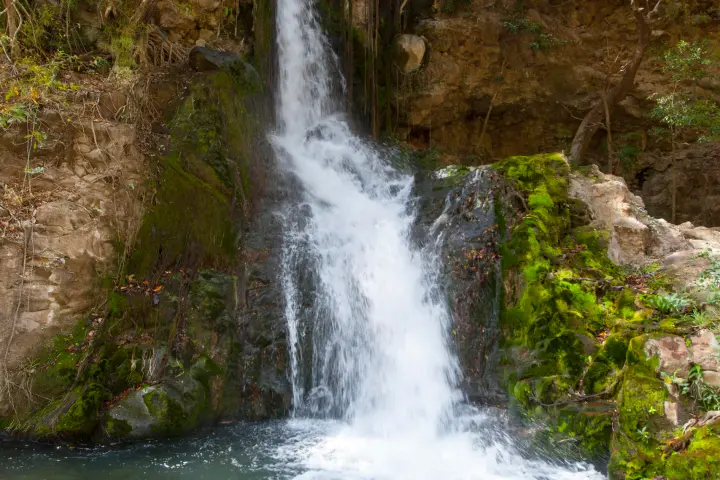 Horseback Riding to Las Chorreras Waterfall and La Victoria Waterfall