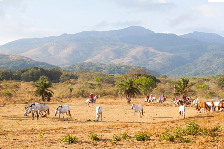 Horseback Riding to Las Chorreras Waterfall and La Victoria Waterfall