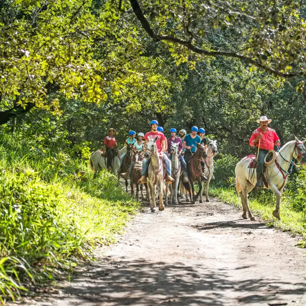 Horseback Riding to Rincon De La Vieja