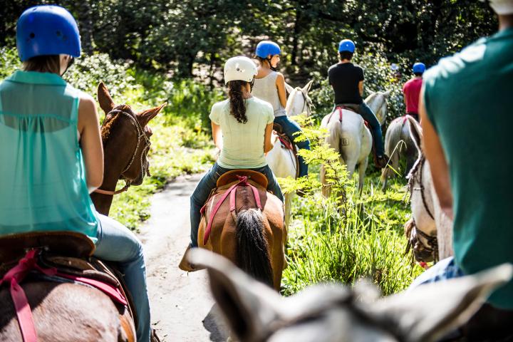 Iron Horse Mountain Bike Tour
