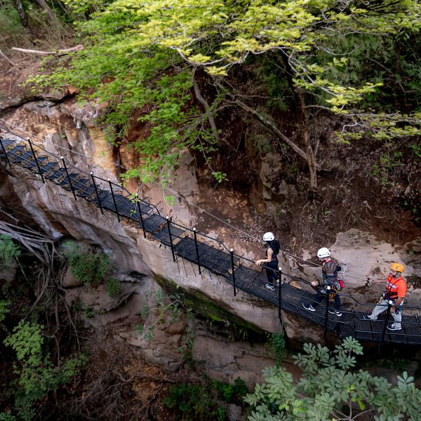 people crossing bridge