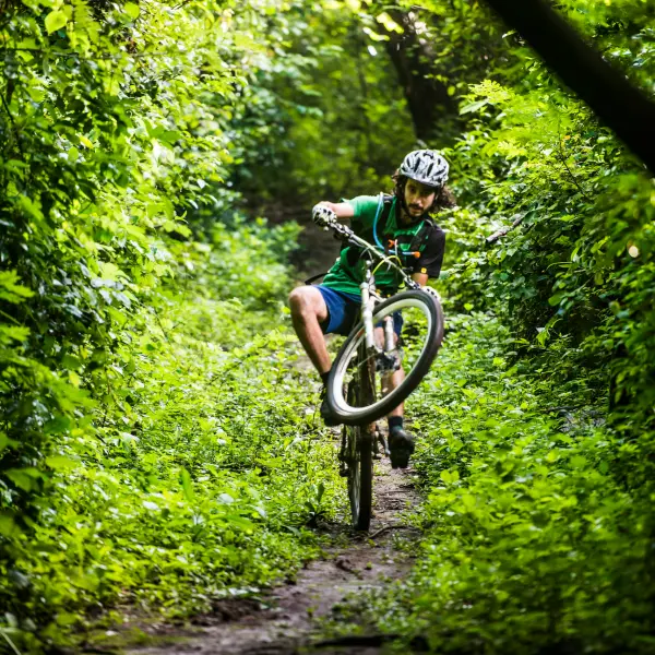 Tropical Trails Single Track Mountain Bike Tour