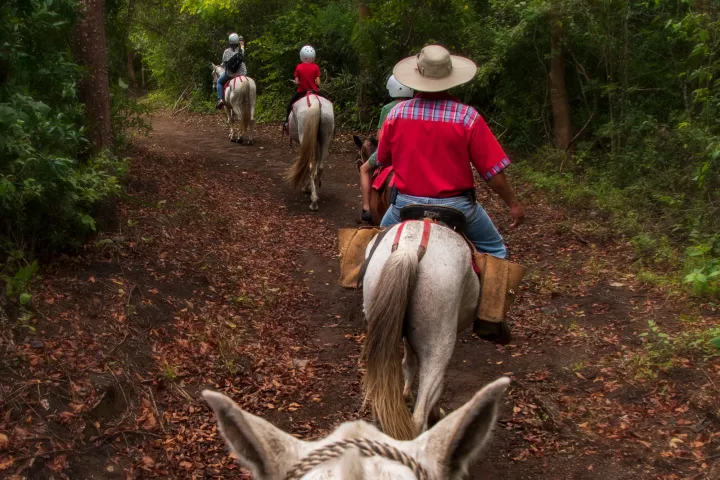 group Horseback Riding to La Oropendola Waterfall
