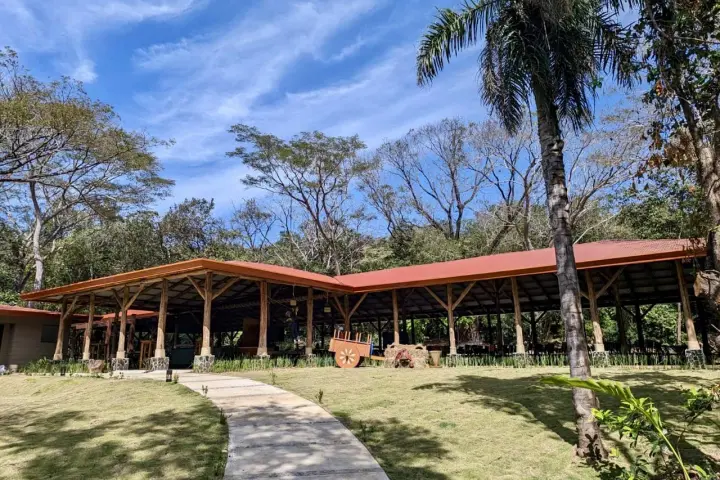 a group of palm trees with a building in the background