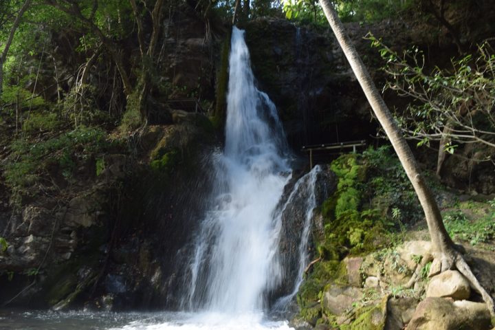 a large waterfall in a forest