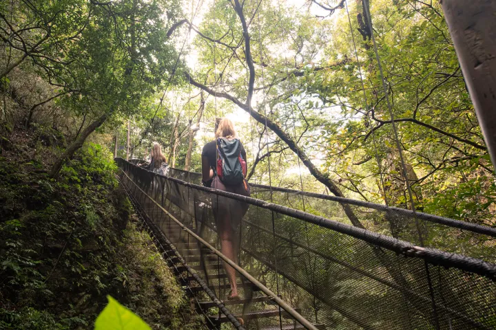 a person standing on a bridge