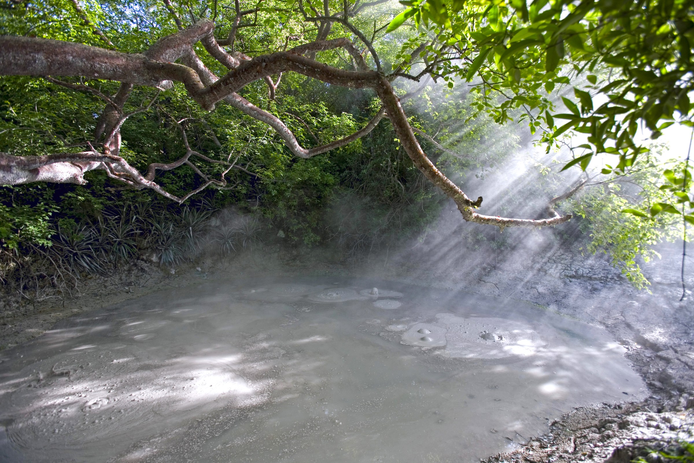 Rincon de la Vieja volcanic mud