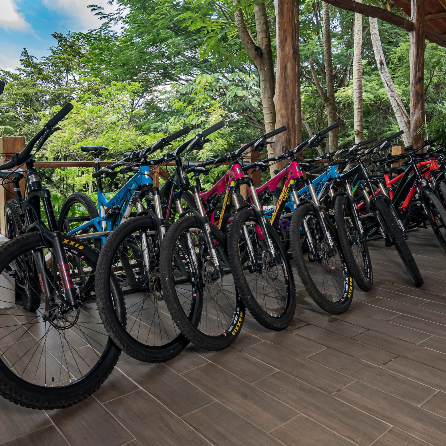 mountain bikes lined up
