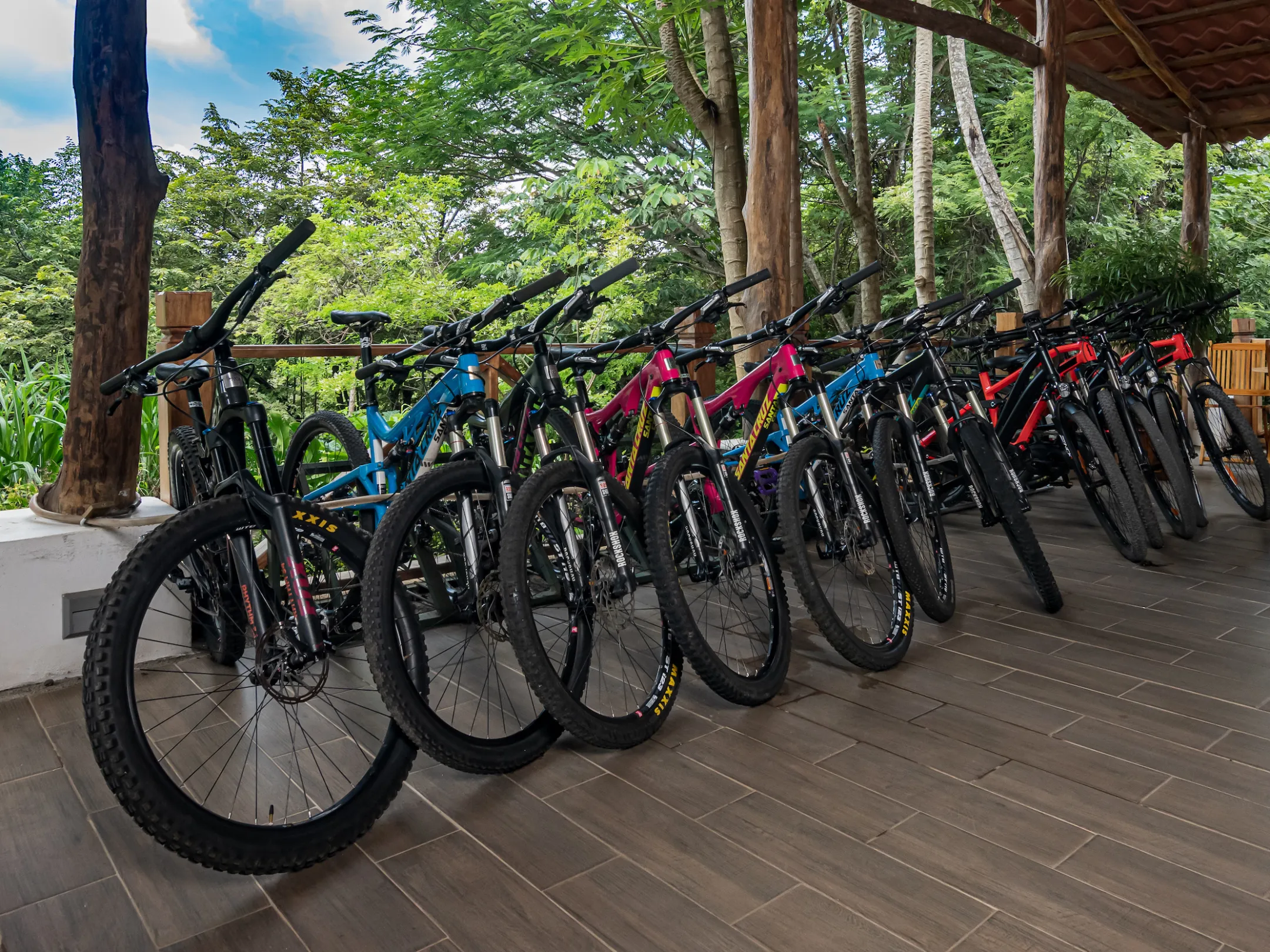 mountain bikes lined up