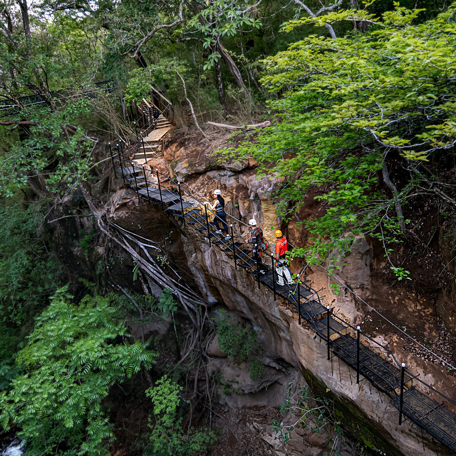Canopy zip line tour