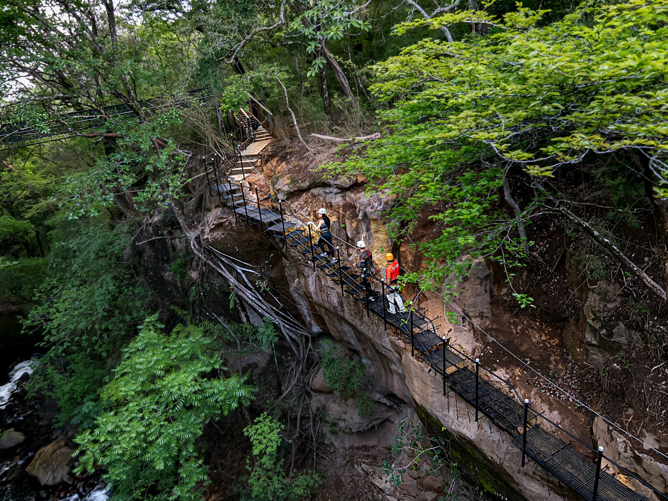 Canopy zip line tour