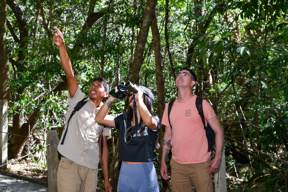 Natures-symphony-birdwatching-at-hacienda-guachipelin