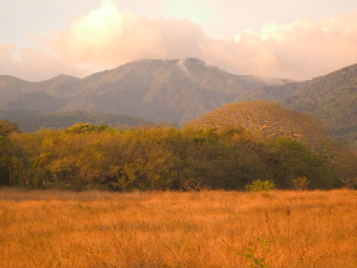 the-history-of-rincon-de-la-vieja-volcano-a-natural-wonder-and-tourism-hub