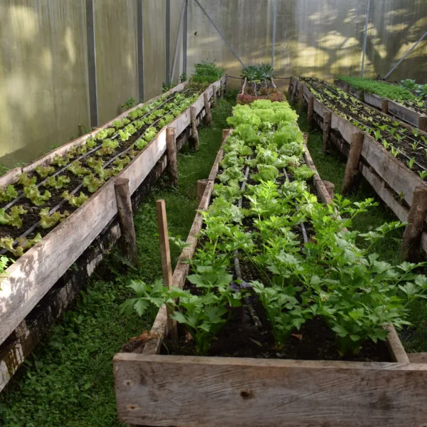 hotel-hacienda-guachipelin-achieves-elite-level-of-CST