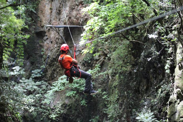 a man riding on the back of a wooded area