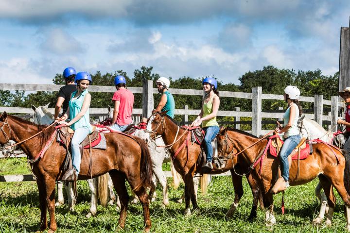 a group of people riding on the back of a horse