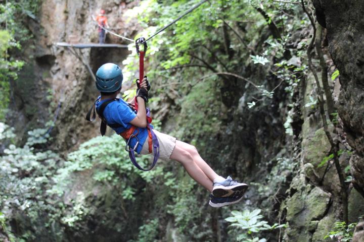 a man riding on top of a tree