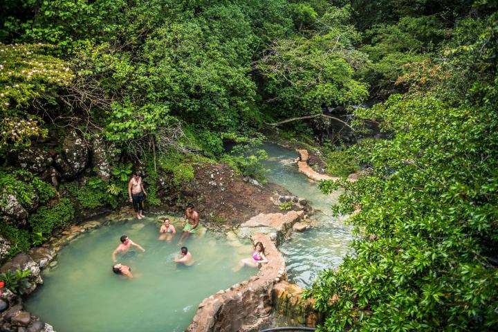 a group of people swimming in a body of water surrounded by trees
