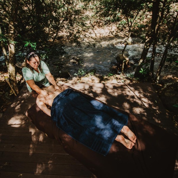 a person sitting in a tree