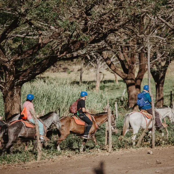 a group of people riding on the back of a horse