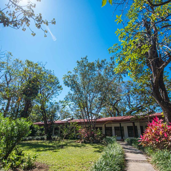 Dry-season-in-guanacaste-costa-rica-is-very-colorful