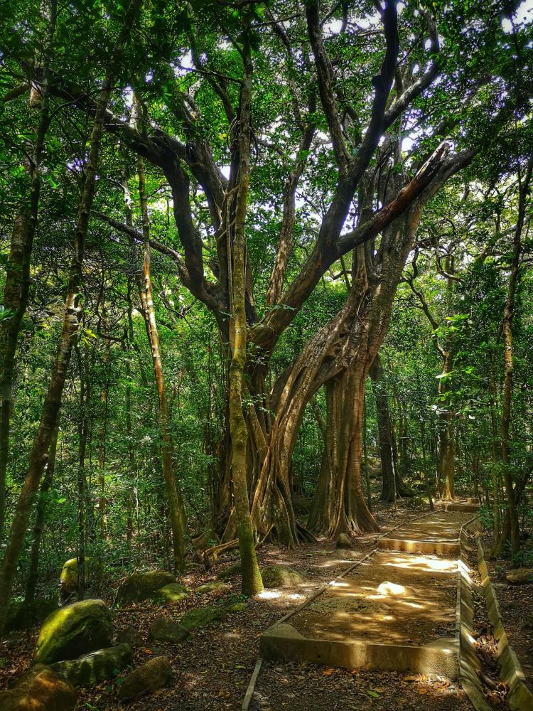 renew-in-nature-the-volanic-wellness-experience-at-hacienda-guachipelin