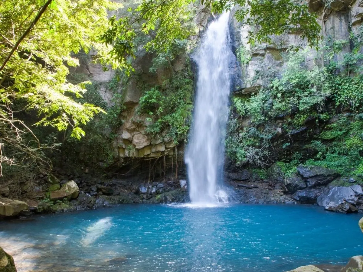 embracing-the-green-season-experience-natures-magic-at-hotel-hacienda-guachipelin