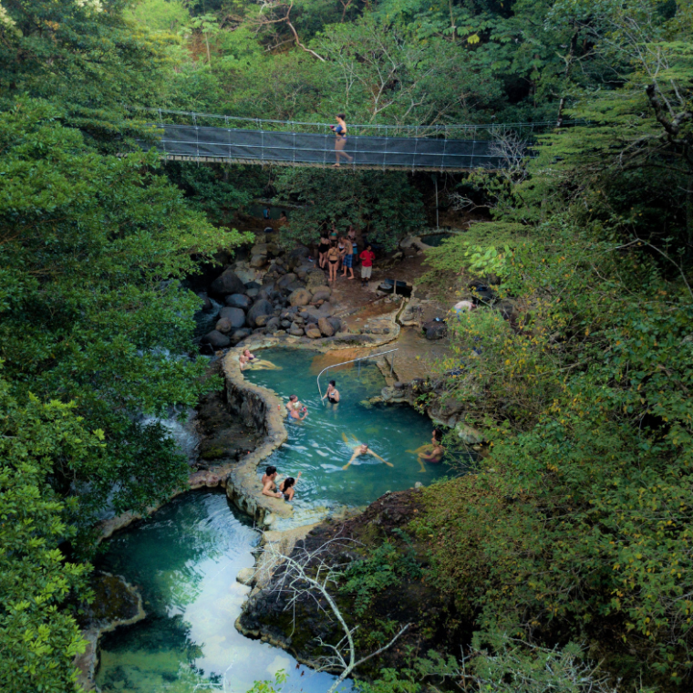 a river with a lush green forest