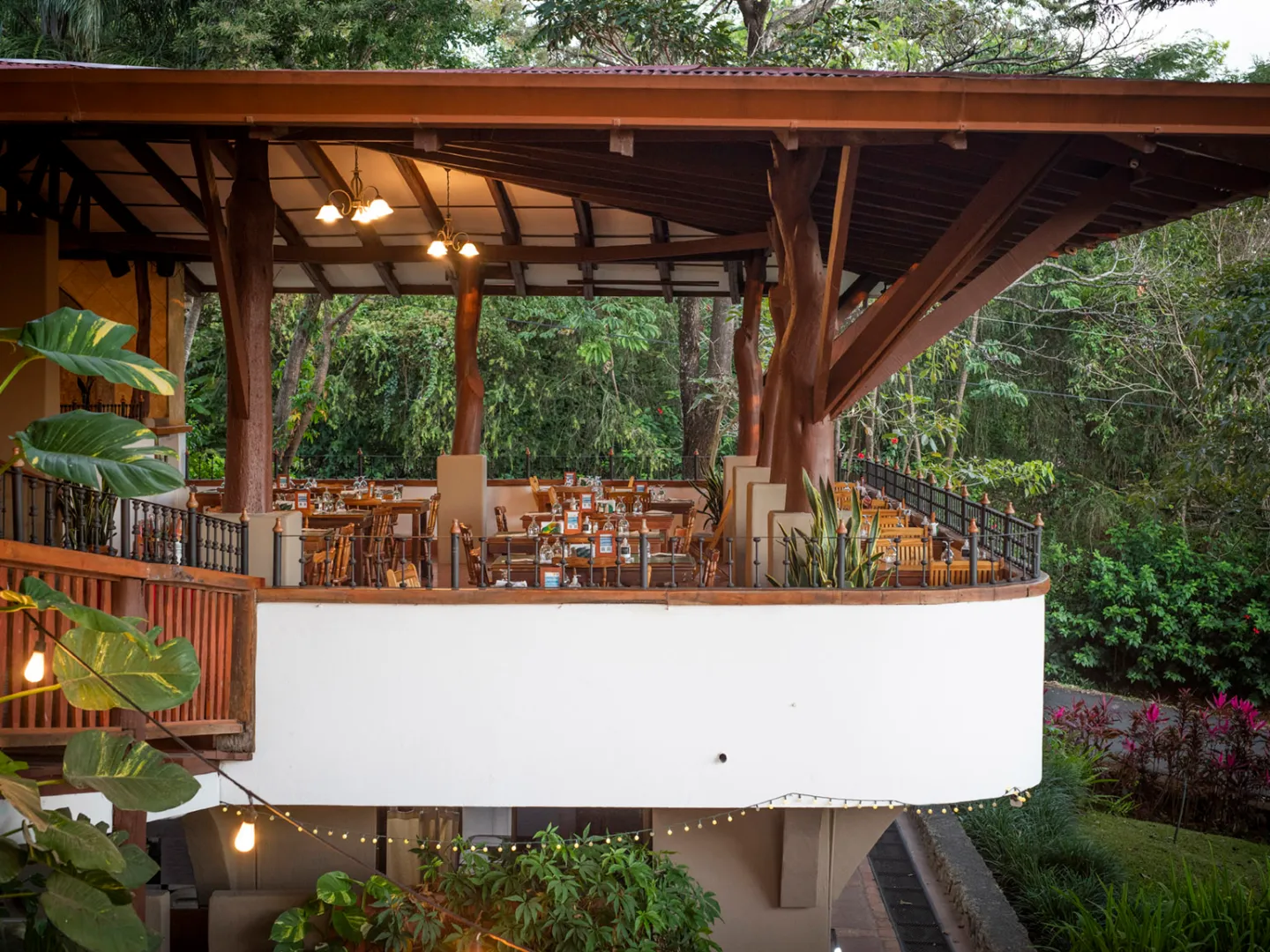 a group of people in a garden