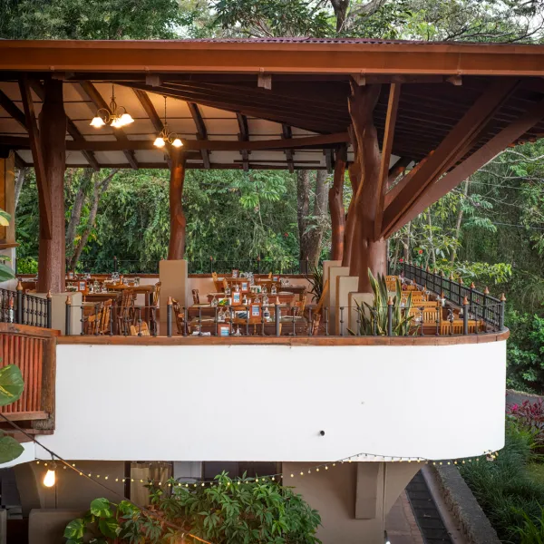 a group of people in a garden