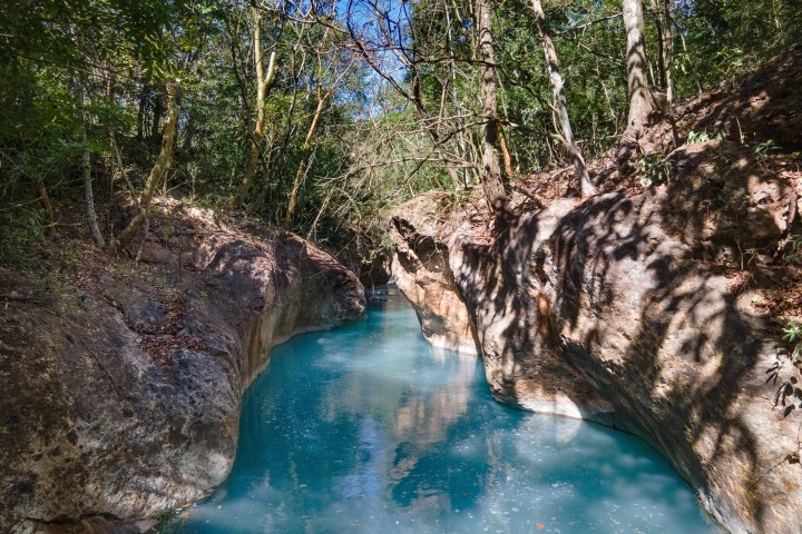 a river running through a forest