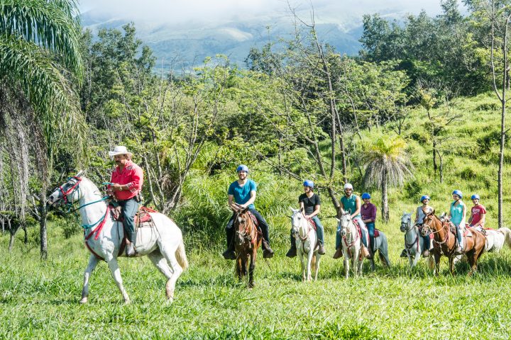 a group of people riding on the back of a horse