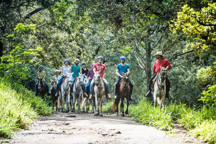 a group of people riding horses on a trail