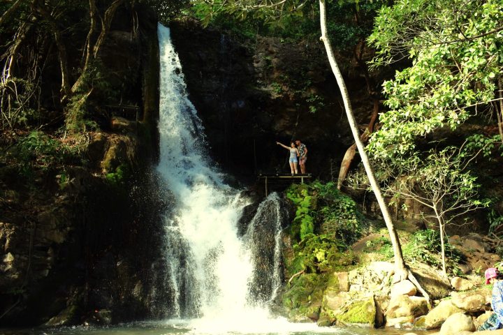 a waterfall surrounded by trees