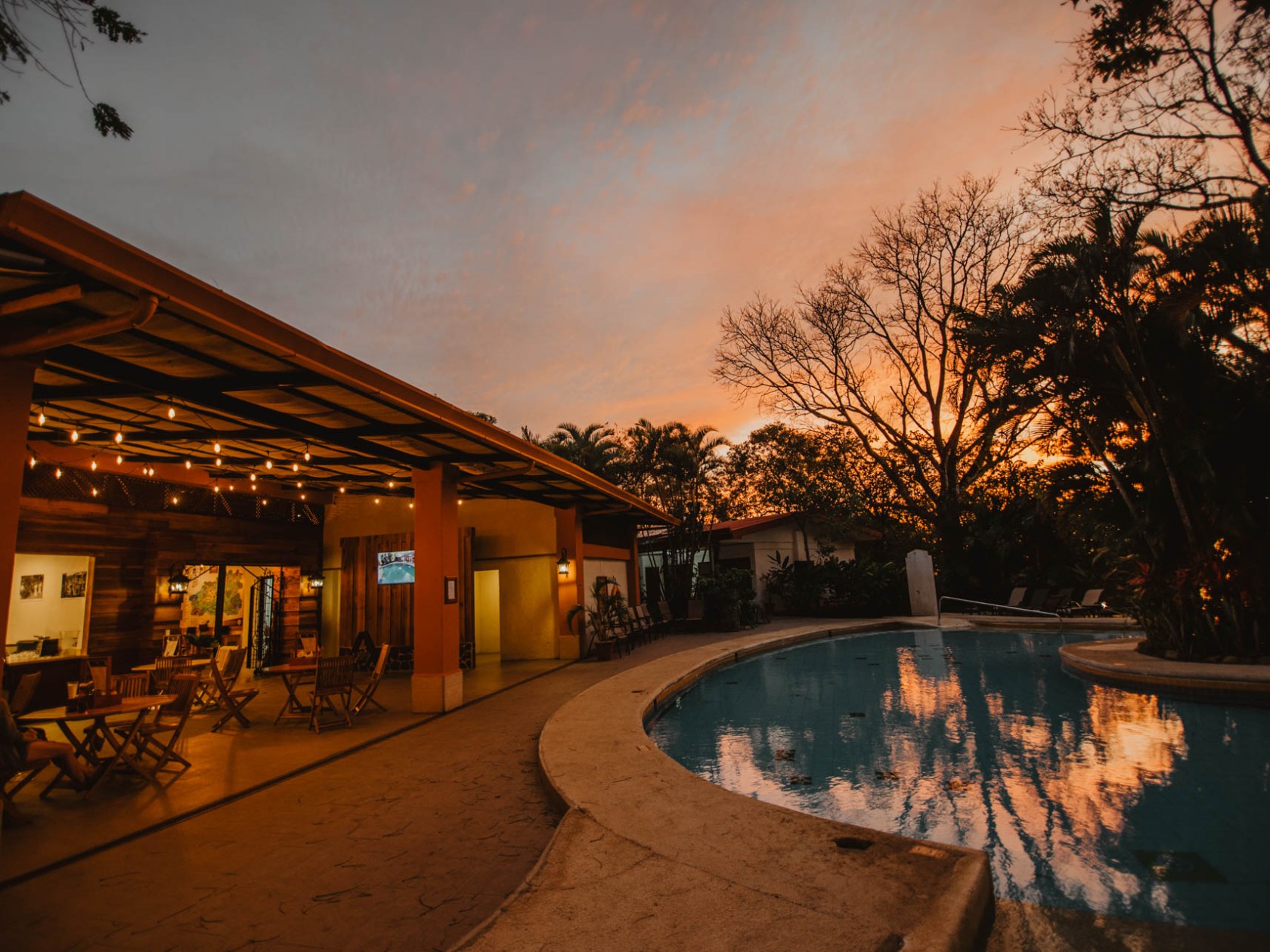 a train on a train track with trees in the background