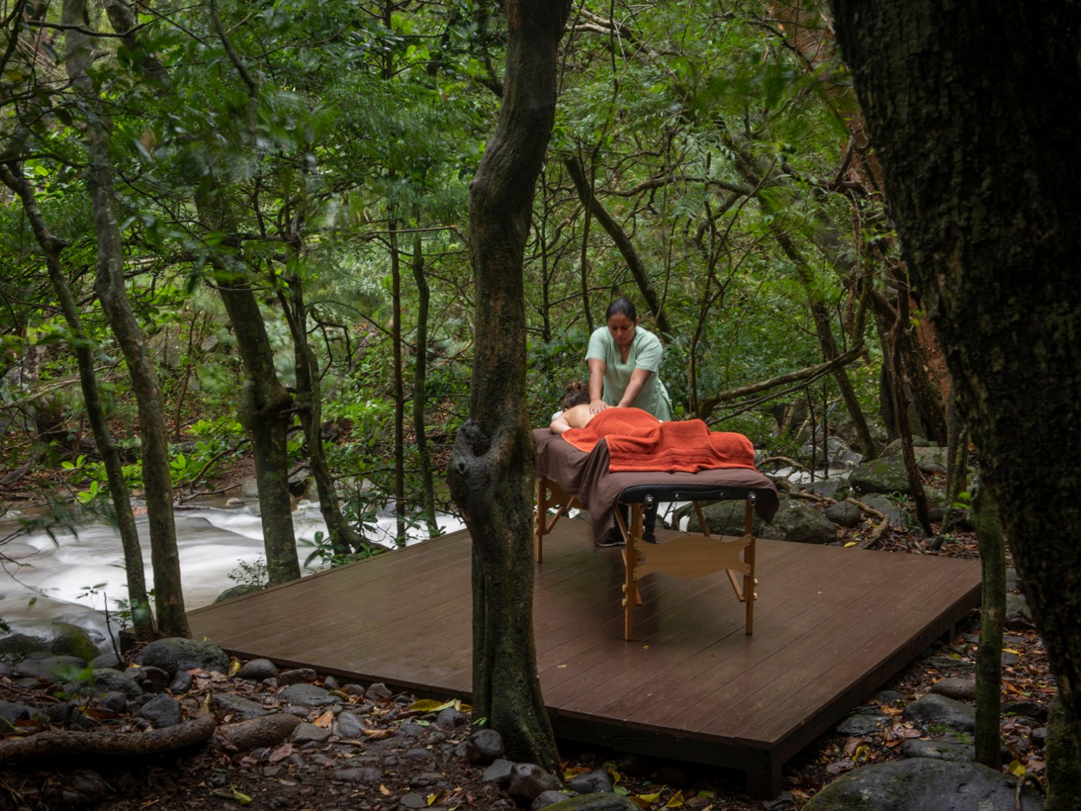 a person sitting on a bench next to a tree