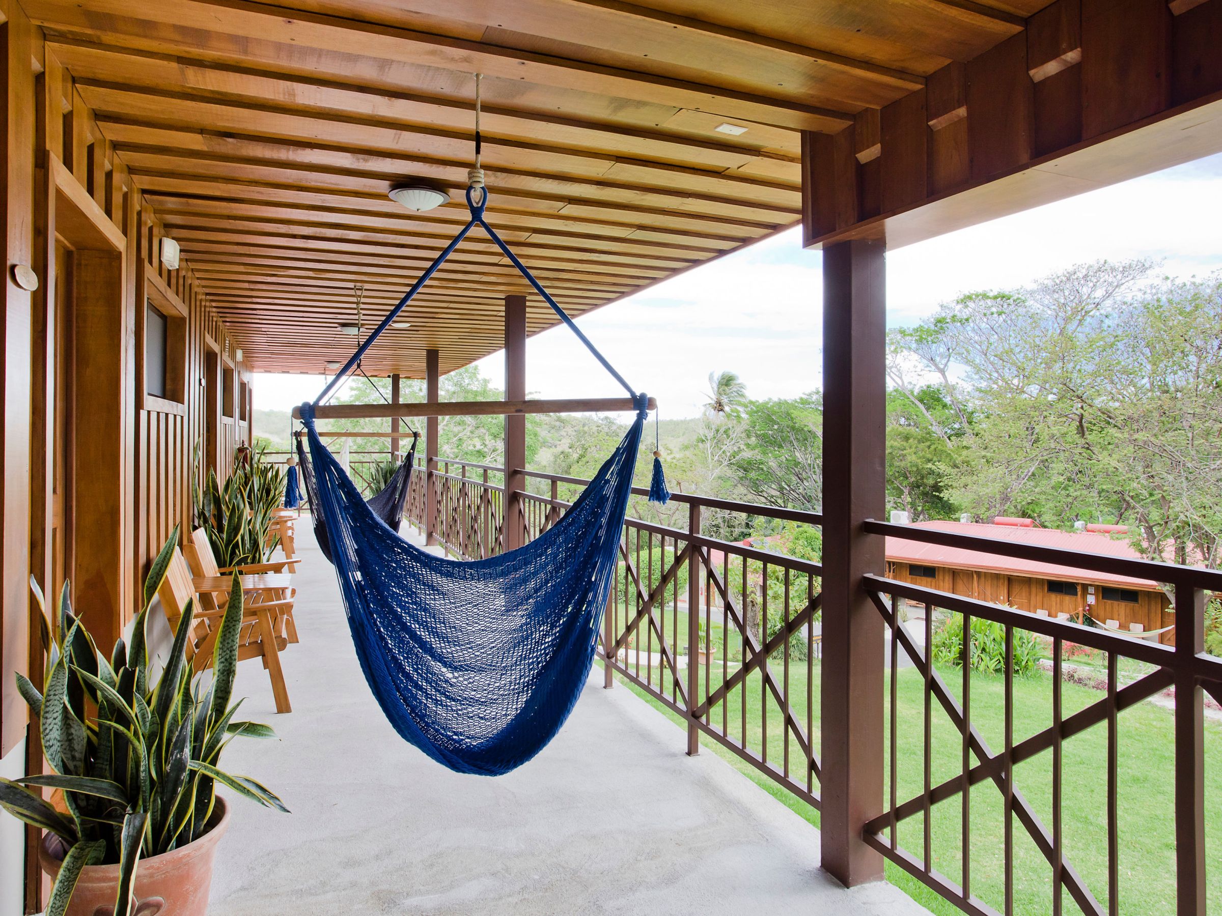 a giraffe standing next to a fence