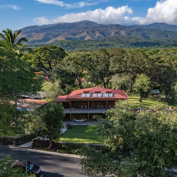 a group of bushes with a mountain in the background