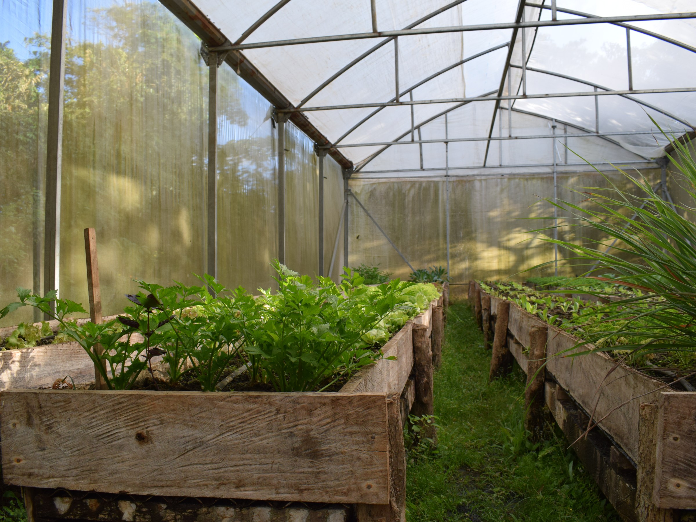 your-perfect-winter-escape-adventure-and-tranquility-at-hotel-hacienda-guachipelin