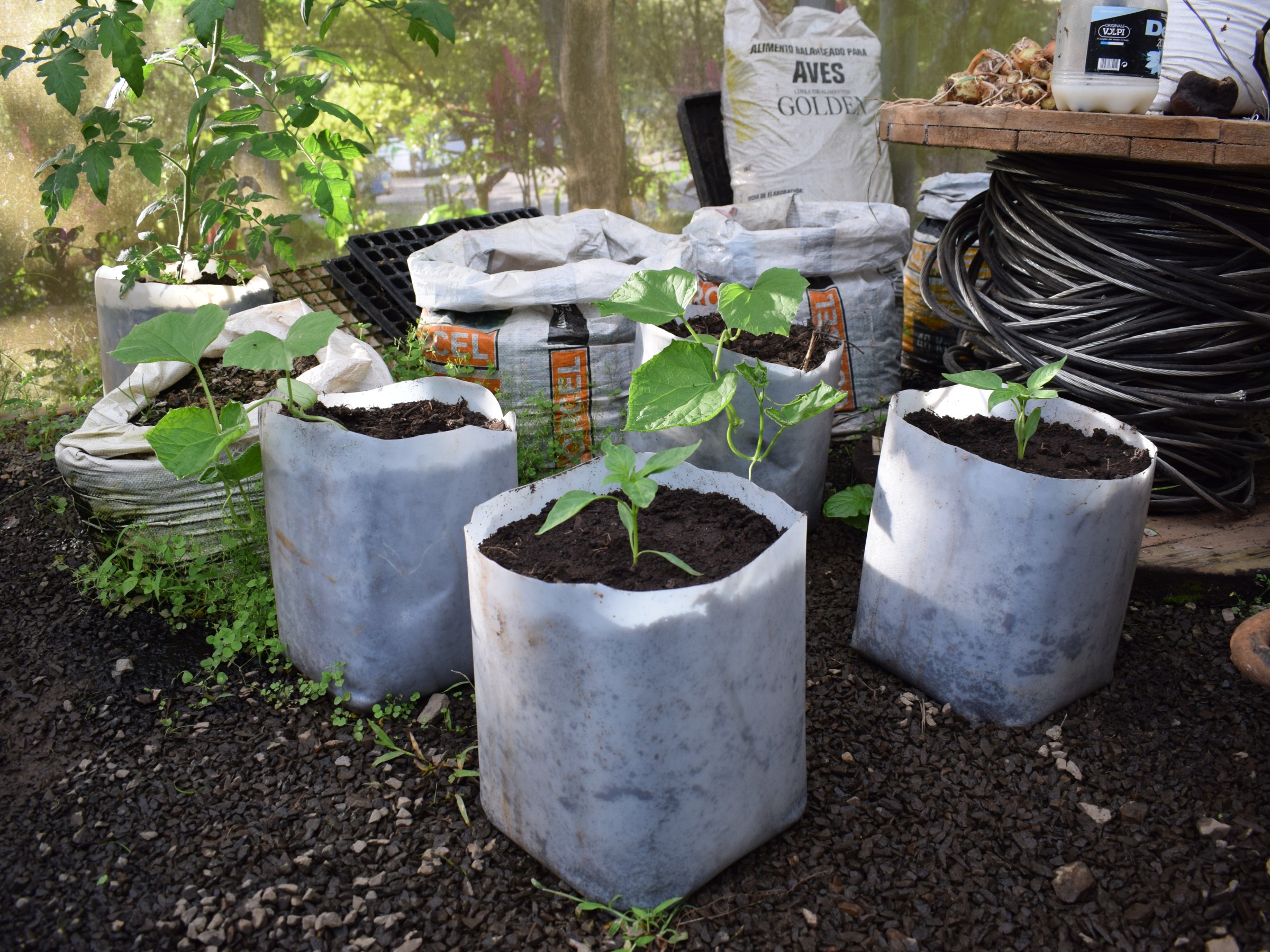 plan-your-2025-adventures-why-hacienda-guachipelin-should-be-on-your-bucket-list