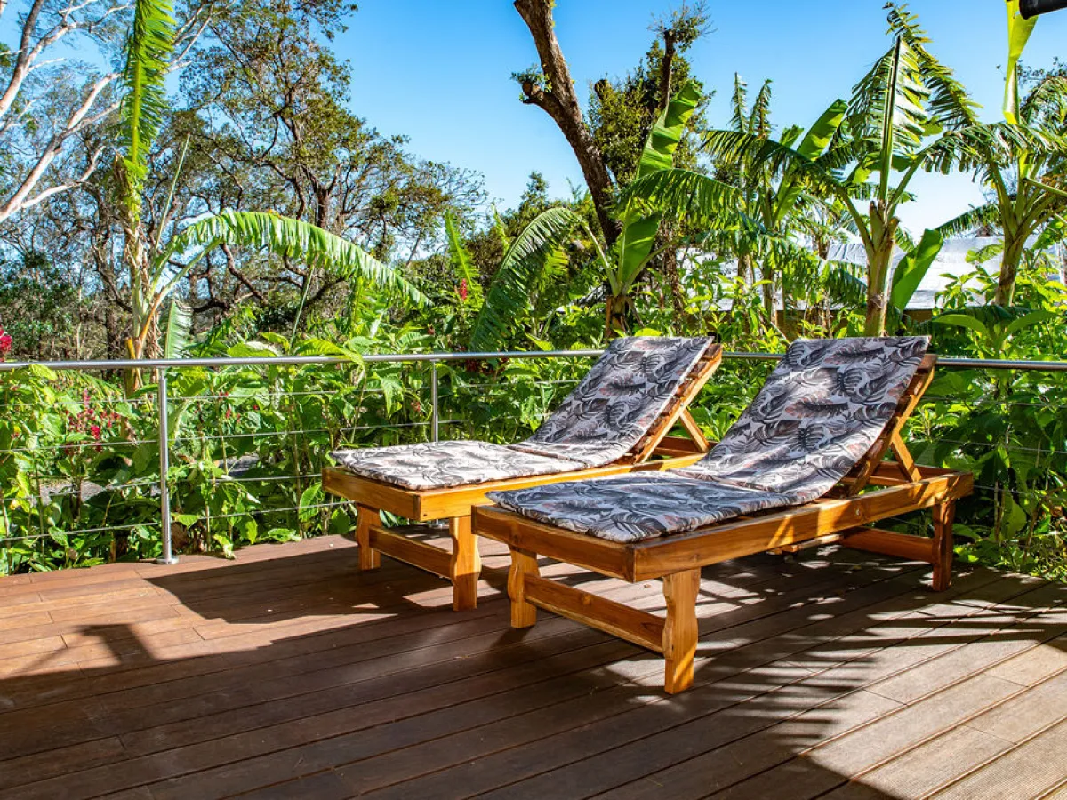 a wooden bench sitting next to a tree
