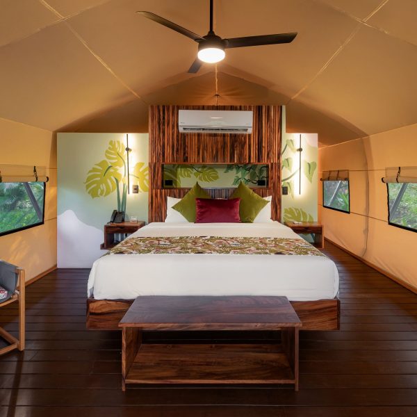dry-forest-experience-in-guanacaste-hacienda-guachipelin