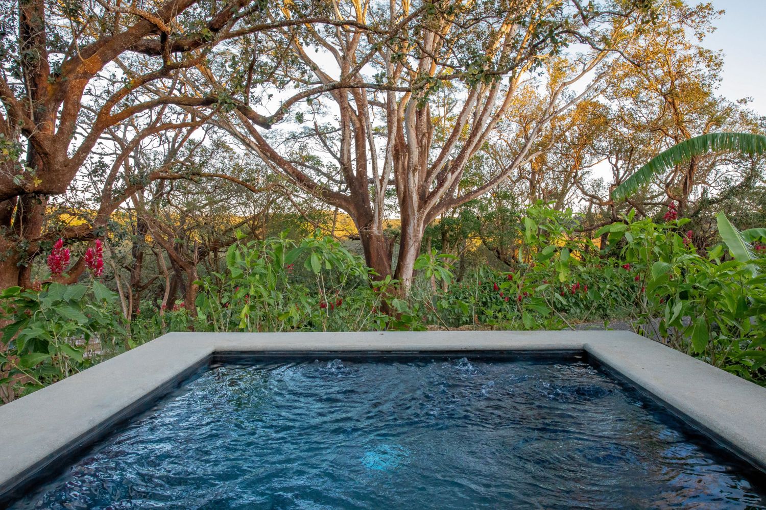 Luxury glamping tent surrounded by Guanacaste’s tropical dry forest at Hacienda Guachipelin in Costa Rica