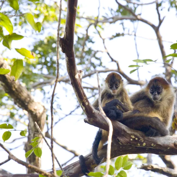 why-june-is-the-best-time-to-visit-rincon-de-la-vieja